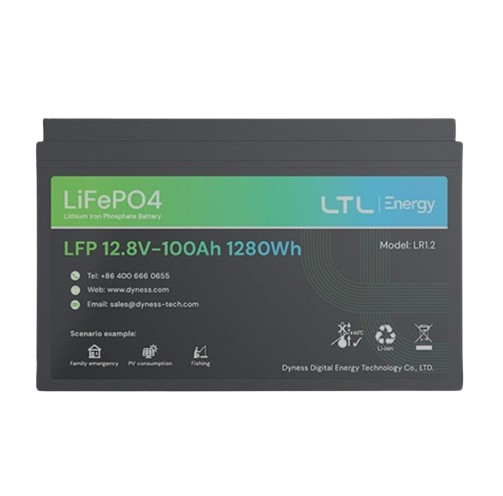 12.8v 100 AH LV Lithium Battery LiFePO4 Dyness LR1.2